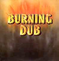 The Revolutionaries : Burning Dub (LP, Album)