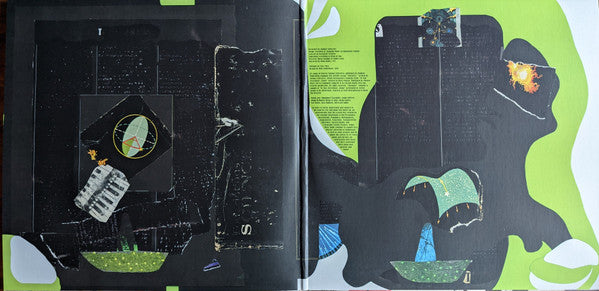 Animal Collective ~ Time Skiffs (Vinyl) - Djungel & Jazz