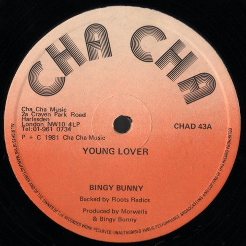 Bingy Bunny & The Morwells & Nicodemus : Young Lover / Him A Natty Dread (12")