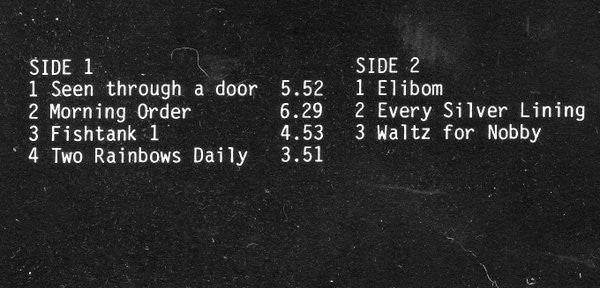 Hugh Hopper / Alan Gowen ~ Two Rainbows Daily (Vinyl) - Djungel & Jazz