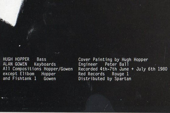 Hugh Hopper / Alan Gowen ~ Two Rainbows Daily (Vinyl) - Djungel & Jazz