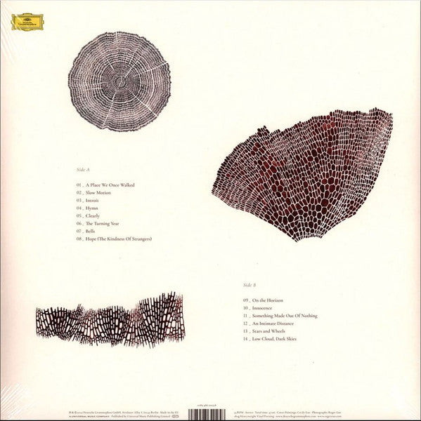 Roger Eno ~ The Turning Year (Vinyl) - Djungel & Jazz