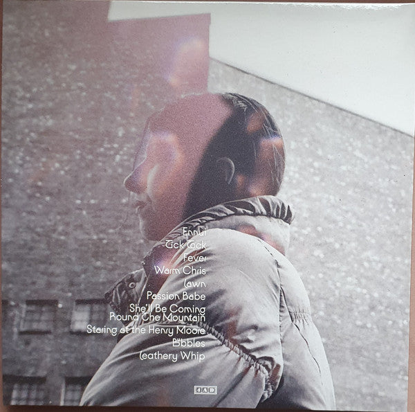Aldous Harding ~ Warm Chris (Vinyl) - Djungel & Jazz