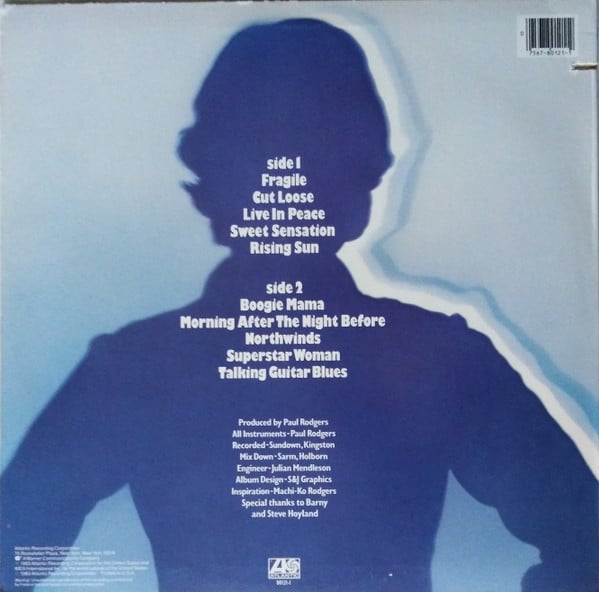 Paul Rodgers ~ Cut Loose (Vinyl) - Djungel & Jazz