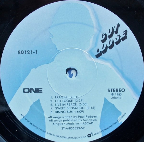 Paul Rodgers ~ Cut Loose (Vinyl) - Djungel & Jazz