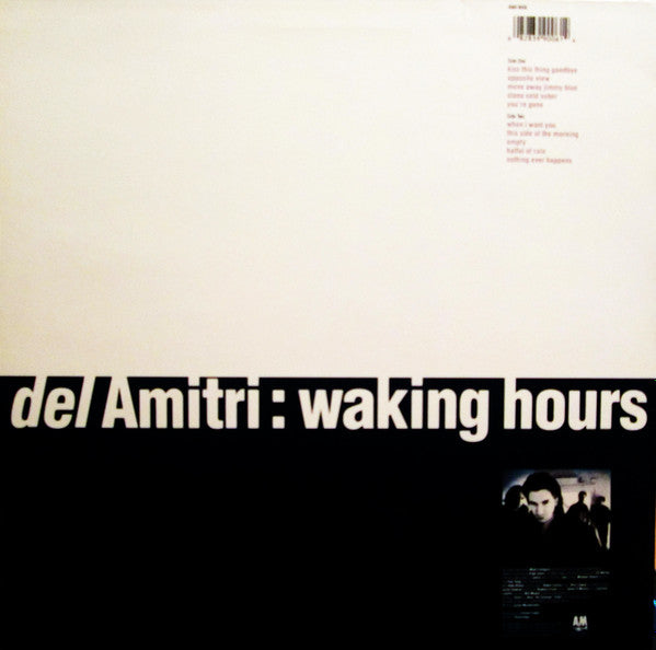 Del Amitri ~ Waking Hours (Vinyl) - Djungel & Jazz