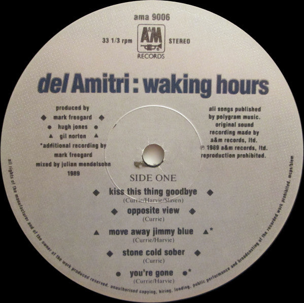 Del Amitri ~ Waking Hours (Vinyl) - Djungel & Jazz
