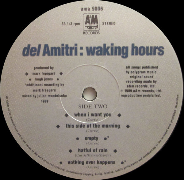 Del Amitri ~ Waking Hours (Vinyl) - Djungel & Jazz