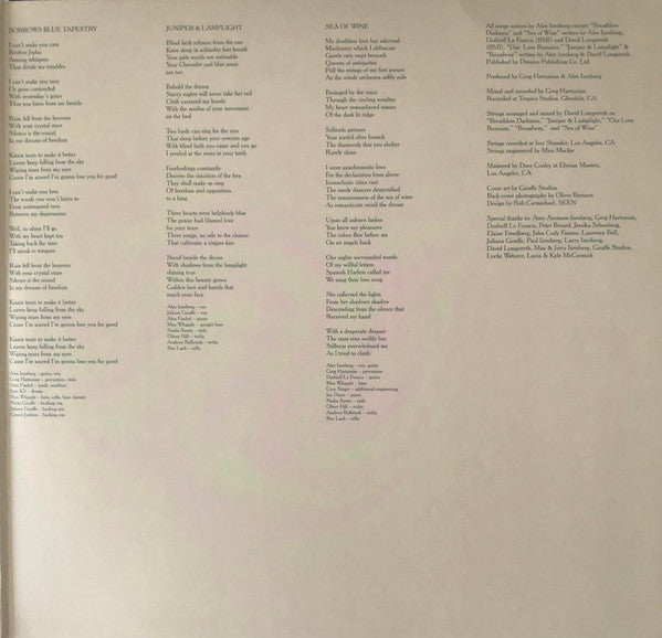 Alex Izenberg ~ I'm Not Here (Vinyl) - Djungel & Jazz
