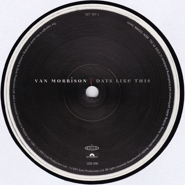 Van Morrison ~ Days Like This (Vinyl) - Djungel & Jazz