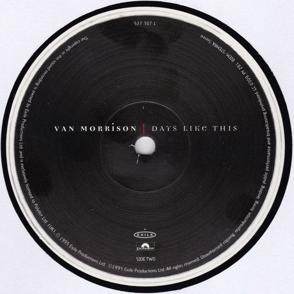 Van Morrison ~ Days Like This (Vinyl) - Djungel & Jazz