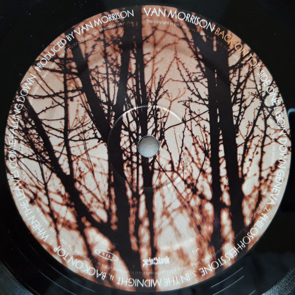 Van Morrison ~ Back On Top (Vinyl) - Djungel & Jazz