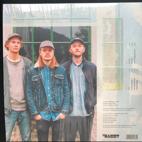 Datadyr ~ Woolgathering (Vinyl) - Djungel & Jazz