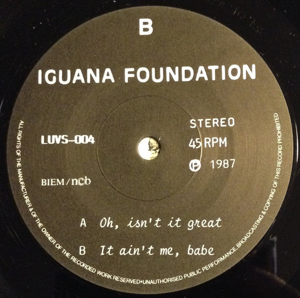 The Iguana Foundation ~ Oh Isn't It Great (Vinyl) - Djungel & Jazz