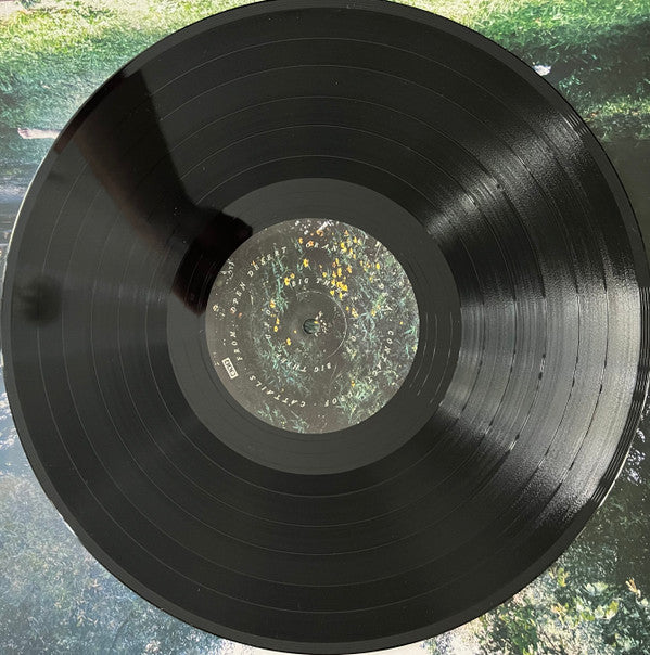 Big Thief ~ U.F.O.F. (Vinyl) - Djungel & Jazz