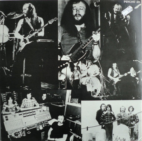 Groundhogs ~ Hoggin The Stage (Vinyl) - Djungel & Jazz
