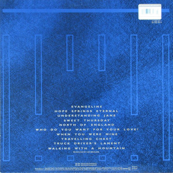 The Icicle Works ~ If You Want To Defeat Your Enemy Sing His Song (Vinyl) - Djungel & Jazz