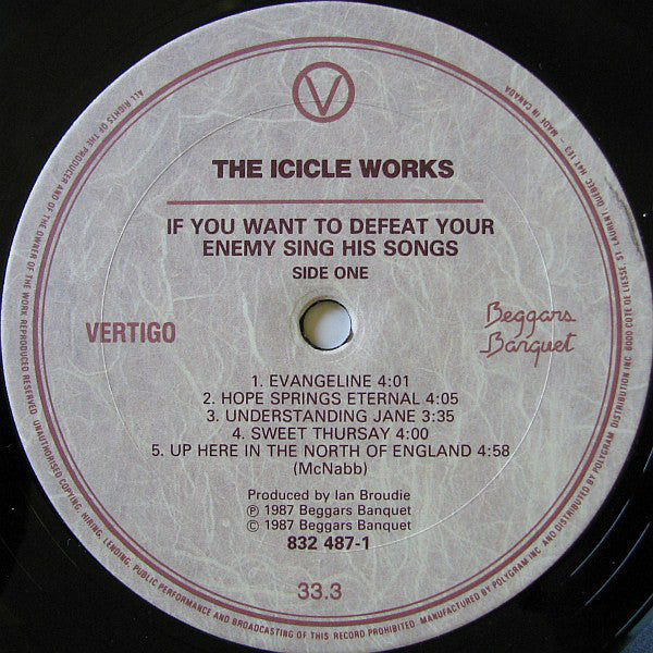 The Icicle Works ~ If You Want To Defeat Your Enemy Sing His Song (Vinyl) - Djungel & Jazz