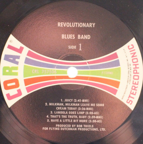 Revolutionary Blues Band ~ Revolutionary Blues Band (Vinyl) - Djungel & Jazz