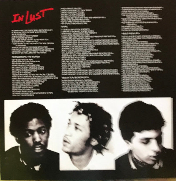 The Dance ~ In Lust (Vinyl) - Djungel & Jazz