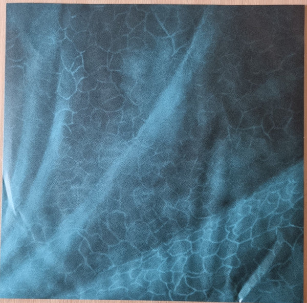Eddie Vedder ~ Earthling (Vinyl) - Djungel & Jazz