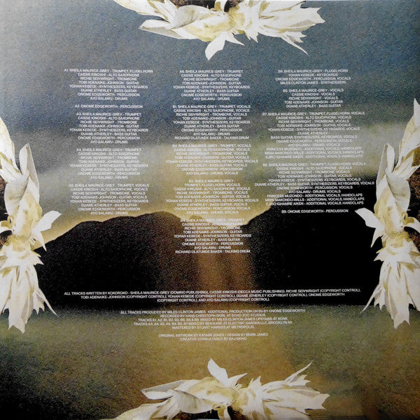 Kokoroko ~ Could We Be More (Vinyl) - Djungel & Jazz