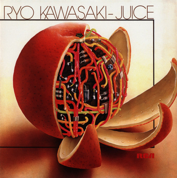 Ryo Kawasaki = 川崎燎 ~ Juice = ジュース (Vinyl) - Djungel & Jazz