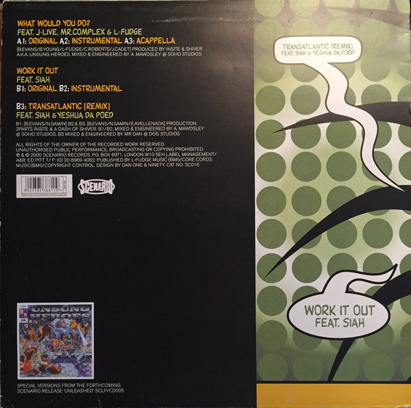 Unsung Heroes ~ What Would You Do? (Vinyl) - Djungel & Jazz
