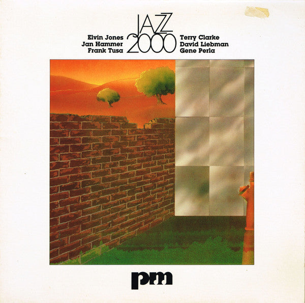 Elvin Jones, Jan Hammer, Frank Tusa, Terry Clarke, David Liebman, Gene Perla ~ Jazz 2000 (Vinyl) - Djungel & Jazz
