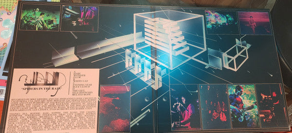 Wand ~ Spiders In The Rain (Vinyl) - Djungel & Jazz