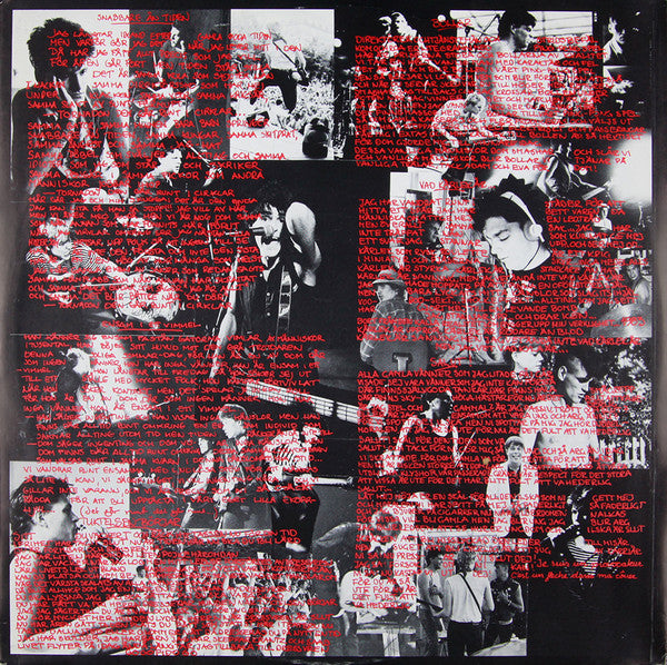 Strindbergs ~ Bibeln (Vinyl) - Djungel & Jazz