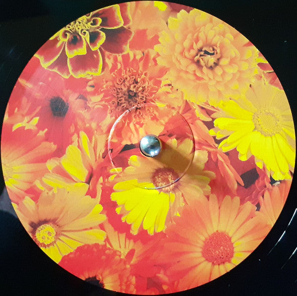 Siouxsie And The Banshees ~ All Souls (Vinyl) - Djungel & Jazz