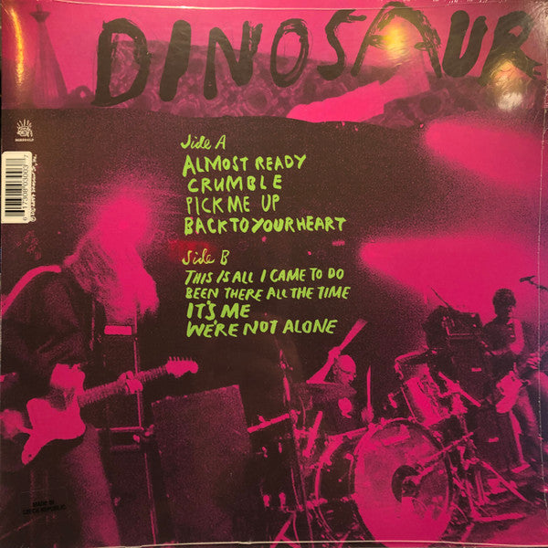 Dinosaur Jr. ~ Beyond (Vinyl) - Djungel & Jazz