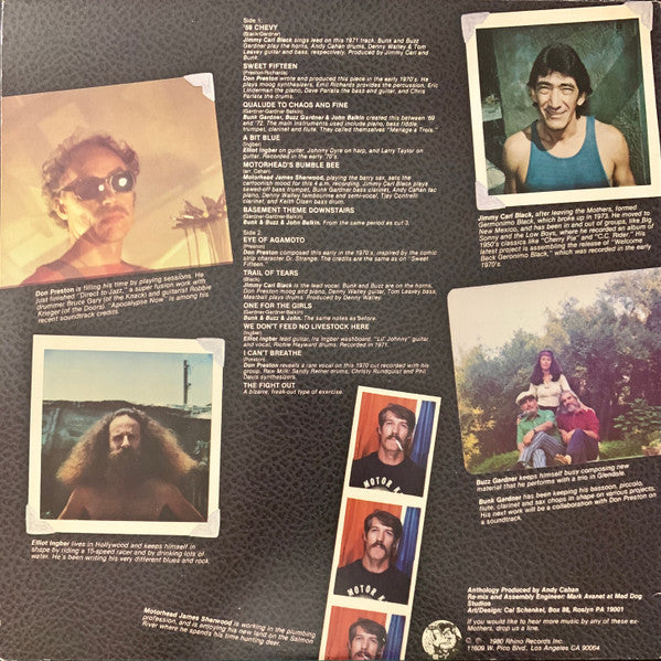 Grandmothers ~ An Anthology Of Previously Unreleased Recordings By Ex-Members Of The Mothers Of Invention (Vinyl) - Djungel & Jazz
