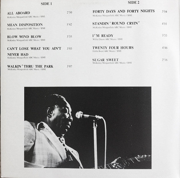 Muddy Waters ~ Fathers And Sons (Vinyl) - Djungel & Jazz