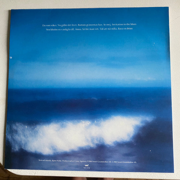 Björn Holm ~ Bortom Gränsernas Hav (Vinyl) - Djungel & Jazz