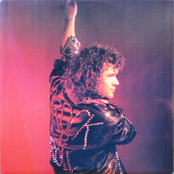 Jimmy Barnes ~ Barnestorming (Vinyl) - Djungel & Jazz