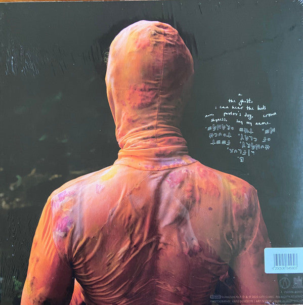Anna B Savage ~ In|Flux (Vinyl) - Djungel & Jazz