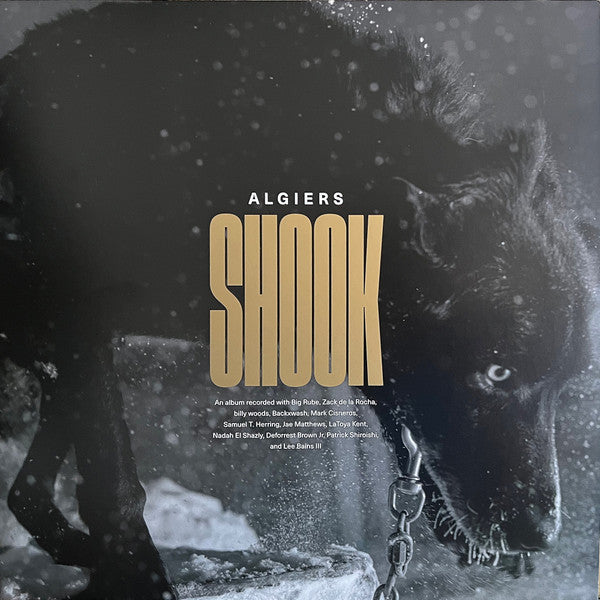 Algiers ~ Shook (Vinyl) - Djungel & Jazz