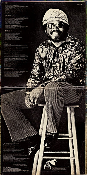 Lonnie Liston Smith And The Cosmic Echoes ~ Visions Of A New World (Vinyl) - Djungel & Jazz