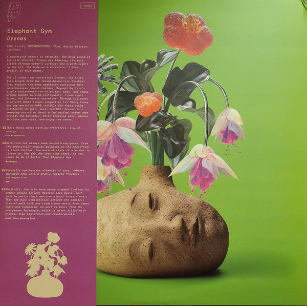 Elephant Gym ~ Dreams (Vinyl) - Djungel & Jazz