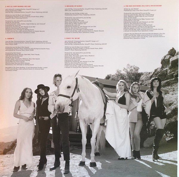 Lana Del Rey ~ Chemtrails Over The Country Club (Vinyl) - Djungel & Jazz