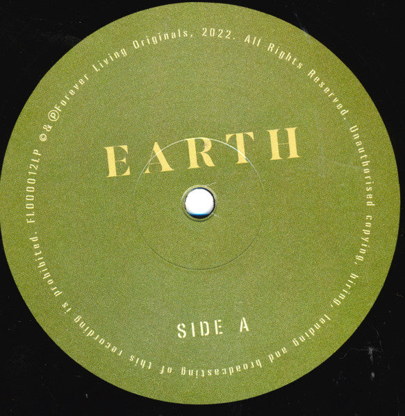 Sault ~ Earth (Vinyl) - Djungel & Jazz