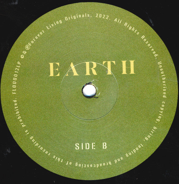 Sault ~ Earth (Vinyl) - Djungel & Jazz
