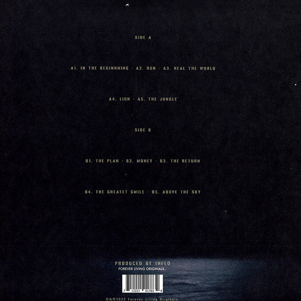 Sault ~ Today & Tomorrow (Vinyl) - Djungel & Jazz