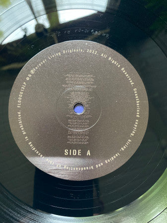 Sault ~ Today & Tomorrow (Vinyl) - Djungel & Jazz