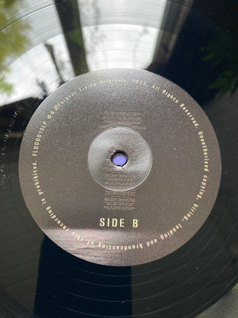 Sault ~ Today & Tomorrow (Vinyl) - Djungel & Jazz