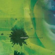 Eiafuawn : Birds In The Ground (LP, Album, RE, RM)