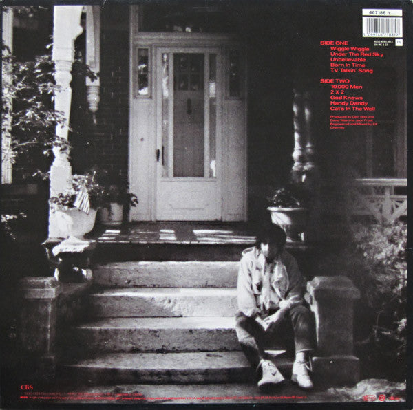 Bob Dylan ~ Under The Red Sky (Vinyl) - Djungel & Jazz