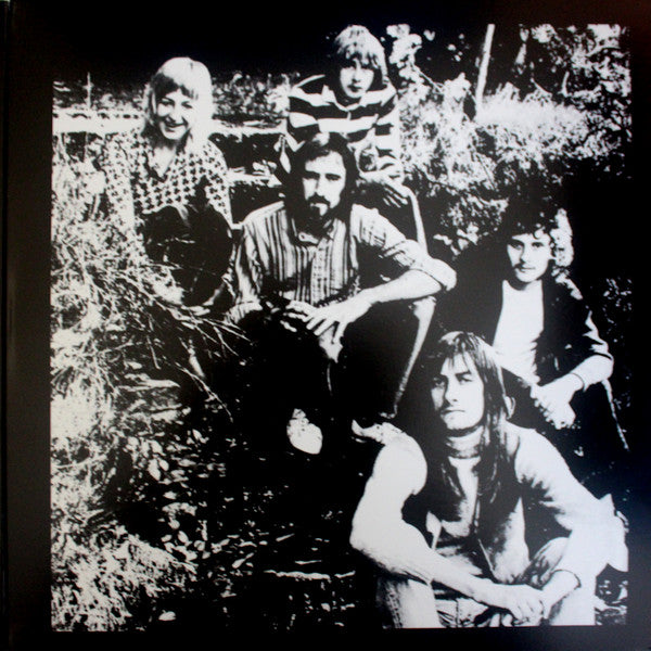 Fleetwood Mac ~ Fleetwood Mac's Greatest Hits (Vinyl) - Djungel & Jazz